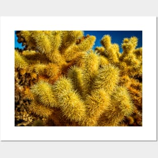 Jumping Cholla Cactus at Joshua Tree National Park Posters and Art